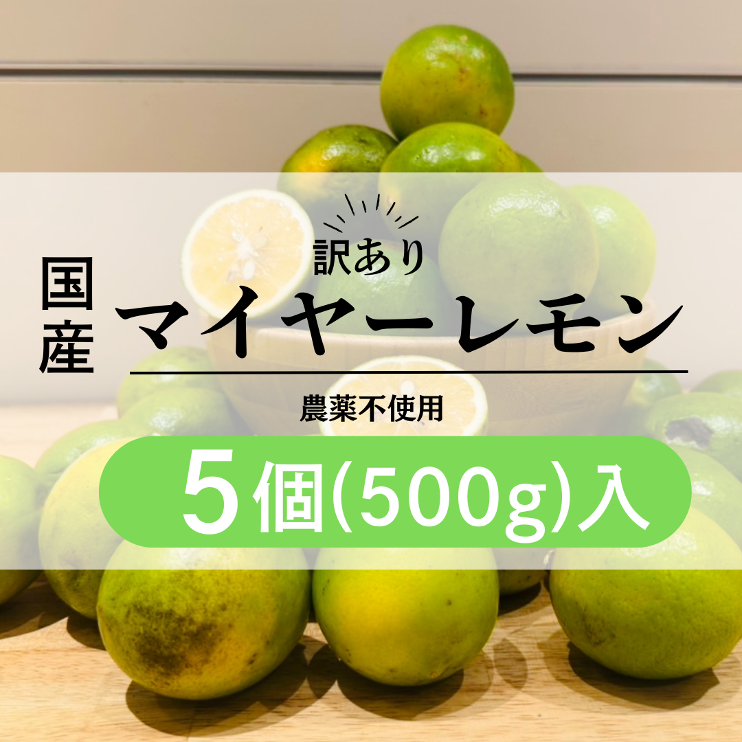 訳あり_国産マイヤーレモン（農薬不使用）：5個（500g）入り