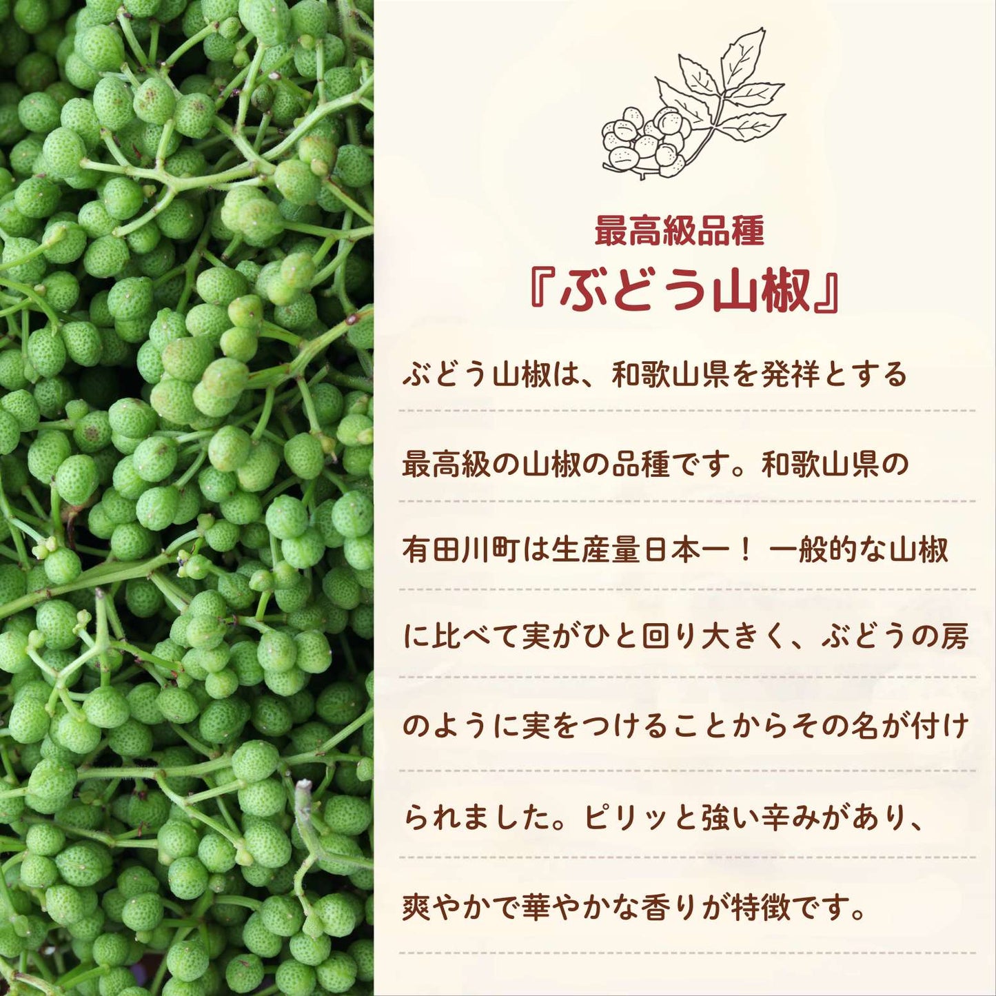 【無添加】かけて食べる「ぶどう山椒醤油麹」