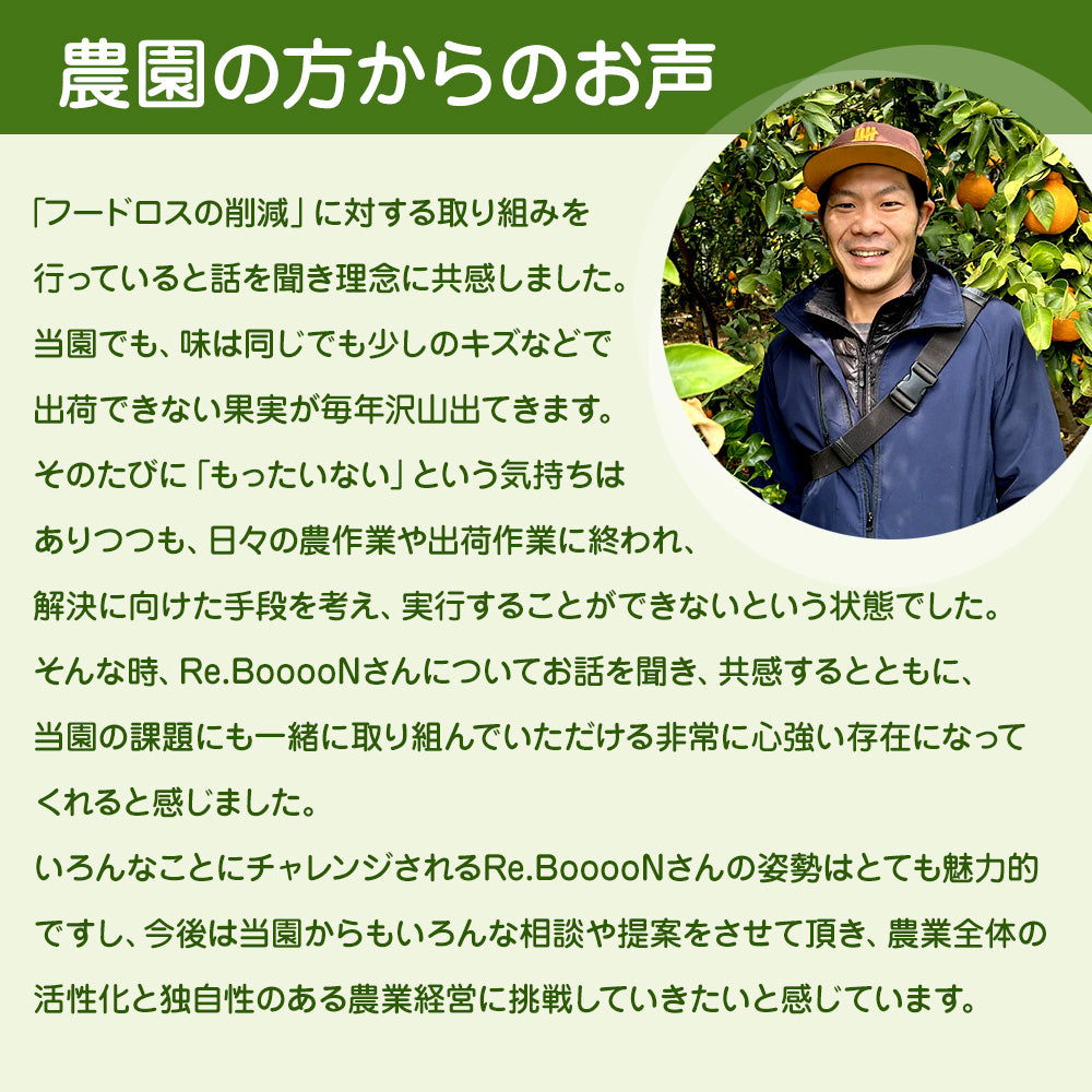 「ヒルナンデス！」で紹介！西田ひかるさんが絶賛！購入した【無添加】国産いちごバター