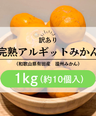 訳あり_完熟アルギットみかん：1kg（10個程度）
