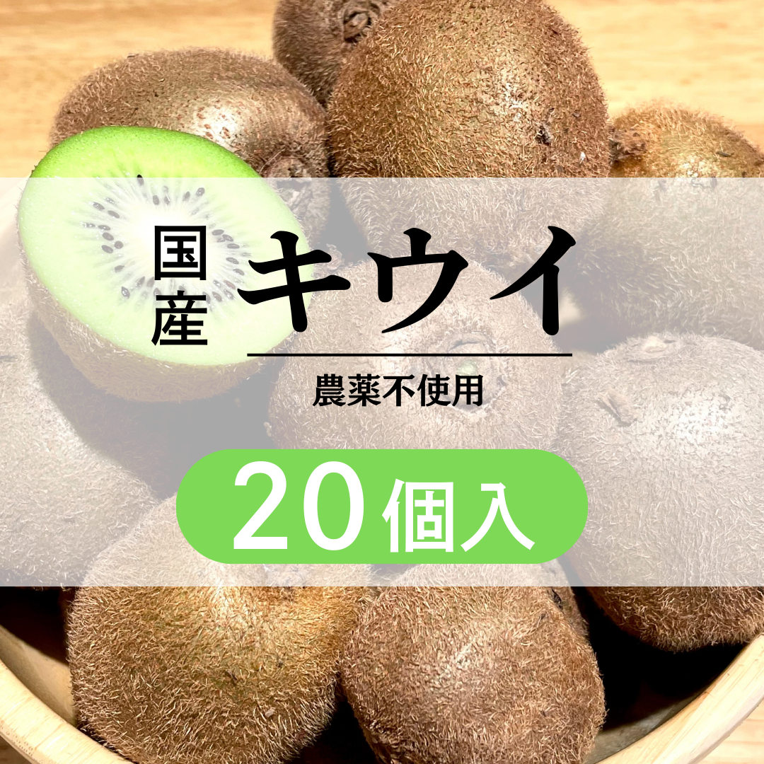 国産グリーンキウイ（農薬不使用）：20個入り