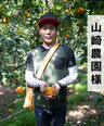 訳あり_完熟アルギットみかん：1kg（10個程度）