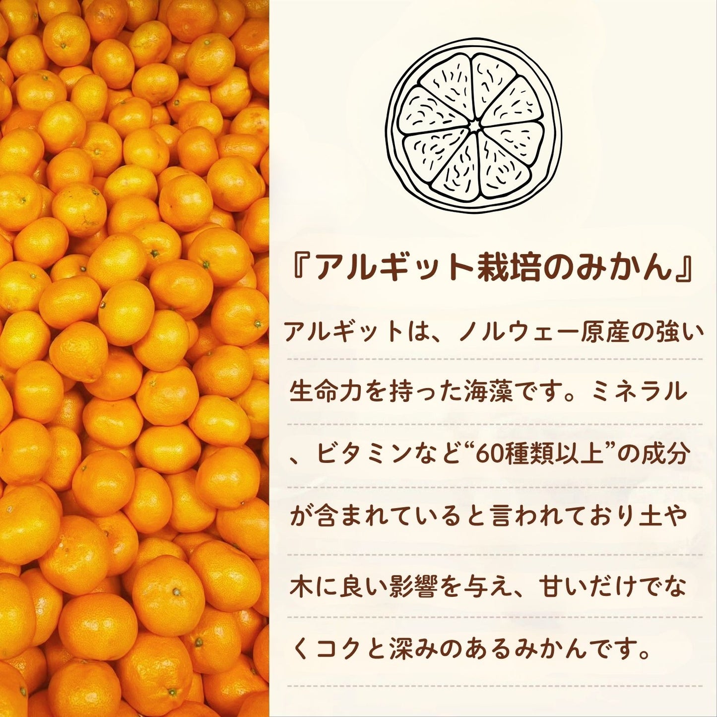[Additive-free] "Budo Sansho Soy Sauce Koji"