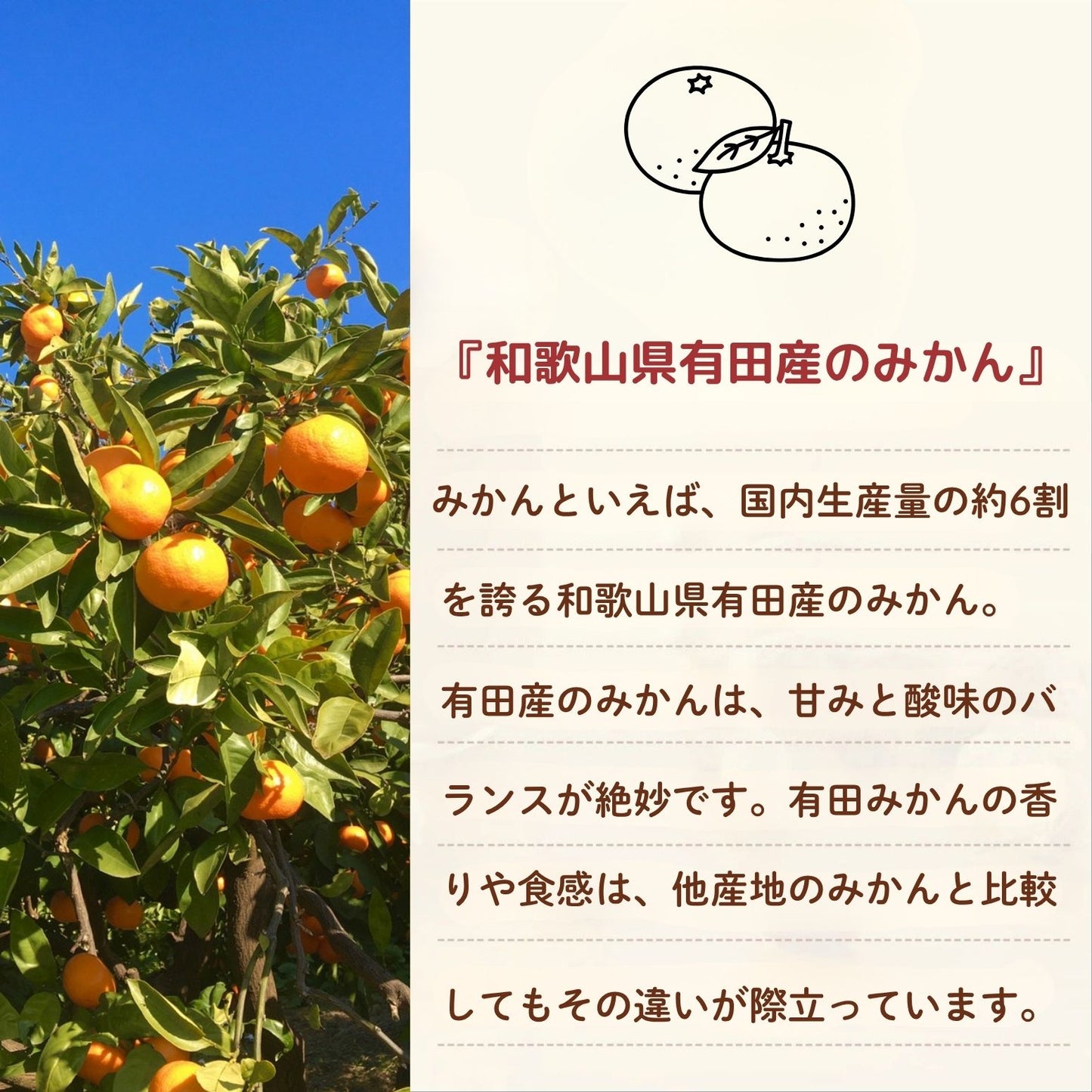 [Additive-free] "Budo Sansho Soy Sauce Koji"